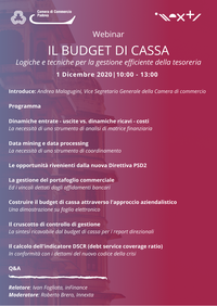 01 12 2020 Webinar "Il Budget di cassa" Logiche e tecniche per la gestione efficiente della tesoreria