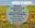 13 05 2021 Presentazione del " Bando di assegnazione di contributi alle imprese agricole per sostenere la Green Economy" - anno 2021