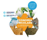 Seminario "Economia circolare: prospettive nel settore agroindustriale"